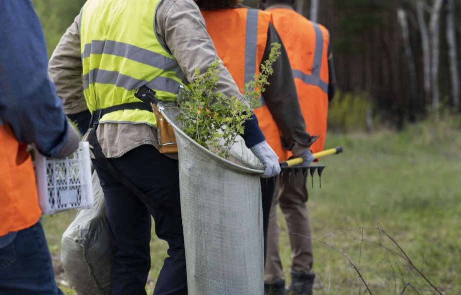 Affordable Tree Service