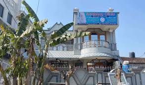 Kidney Treatment in Ayurveda