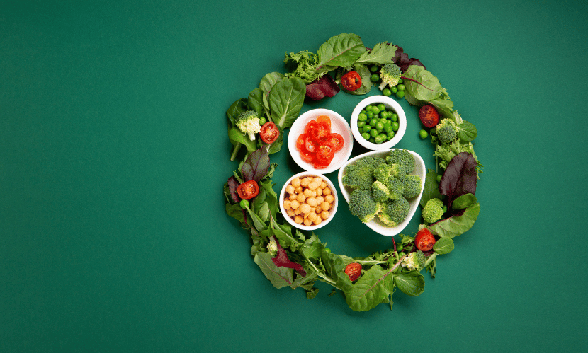 Europe Plant Protein Market