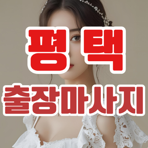 평택출장마사지