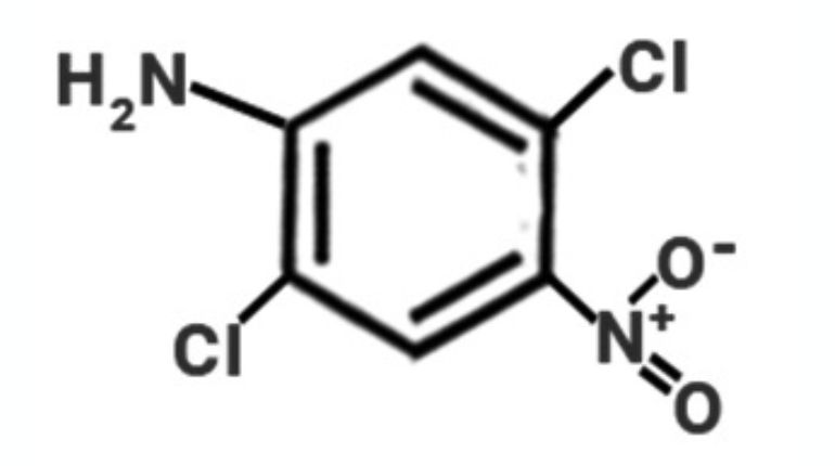 2, 5 Dichloro Aniline [2,5DCA] Manufacturer in India